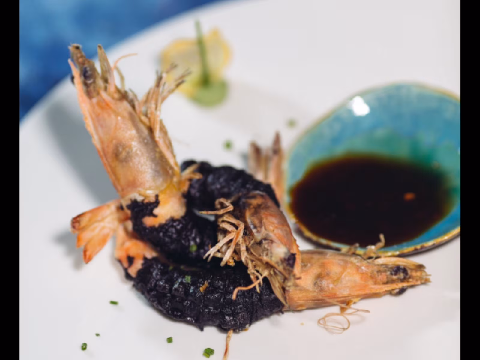 Alavya Koleksiyonu – Sunum – Soslu Karides